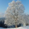 Naturfreundehaus Brend im Winter