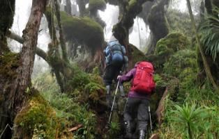 Marsch durch den Kilembre Trail